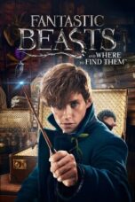 Notnon Fantastic Beasts and Where to Find Them (2016) Subtitle Indonesia