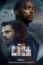 The Falcon and the Winter Soldier (2021)