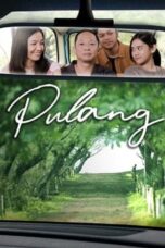 Nonton Pulang (2022) Subtitle Indonesia