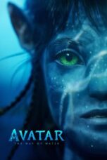 Avatar: The Way of Water (2022)