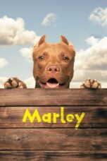 Notnon Marley (2022) Subtitle Indonesia