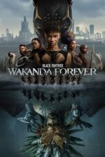 Notnon Black Panther: Wakanda Forever (2022) Subtitle Indonesia