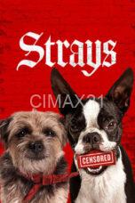 Notnon Strays (2023) Subtitle Indonesia