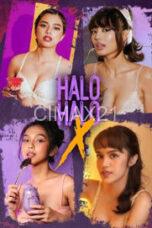 Nonton Halo-halo X (2023) Subtitle Indonesia